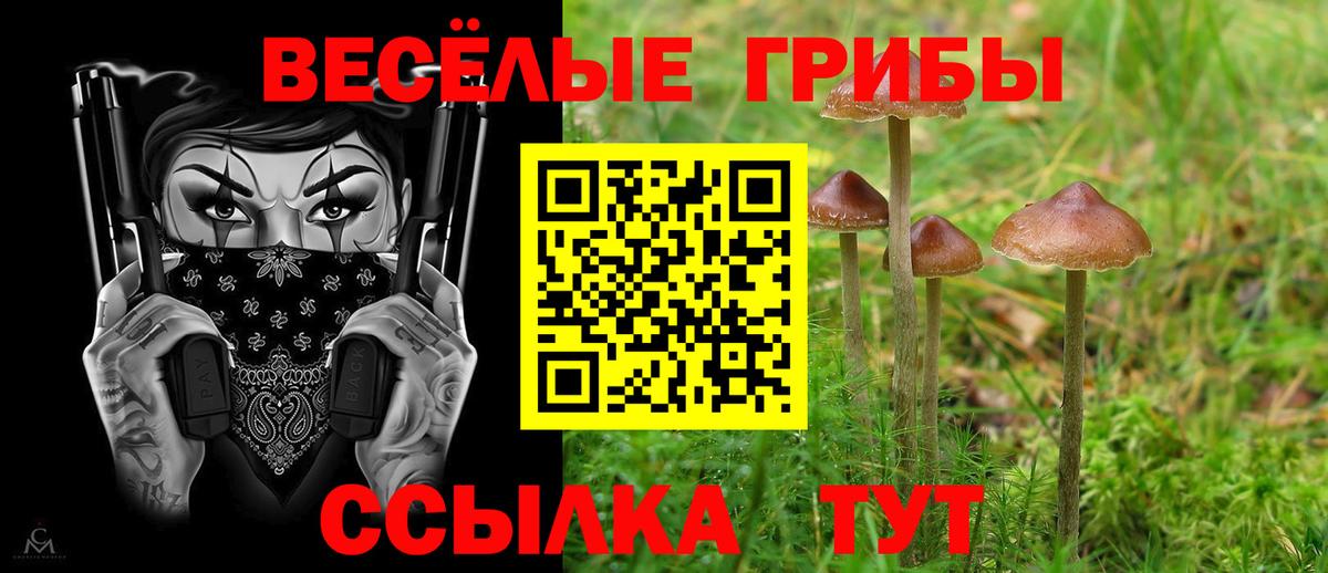 Кинель  Галлюциногенные грибы GOLDEN TEACHER  Псилоцибиновые грибы ЛСД  Вход с VPN 